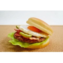 FY-192-E Lodowe panini burgery gastronomiczny Prasa do gofrów i hamburgerów CUKUS