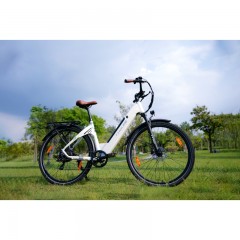 Nowy Rower Elektryczny Męski/Damski 250W 80KM 28