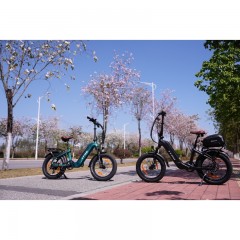 F8 Nowy Rower Elektryczny Męski/Damski 250W 140KM 20