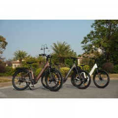 Z3 Nowy Rower Elektryczny Męski/Damski 250W 120KM 27.5